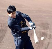 　トス打撃でバットを振り込む戸井（撮影・山口登）