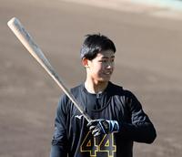 　トス打撃する戸井（撮影・山口登）