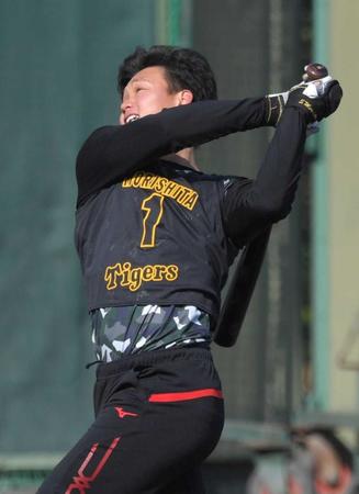 　打撃練習する森下（撮影・北村雅宏）