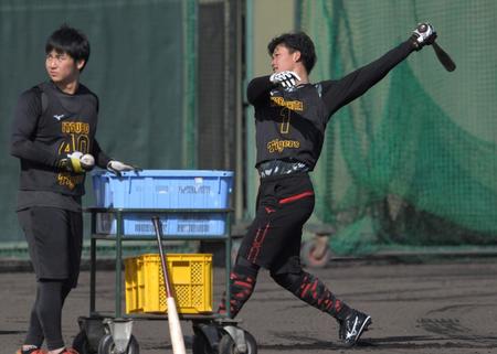 　打撃練習する森下（撮影・北村雅宏）