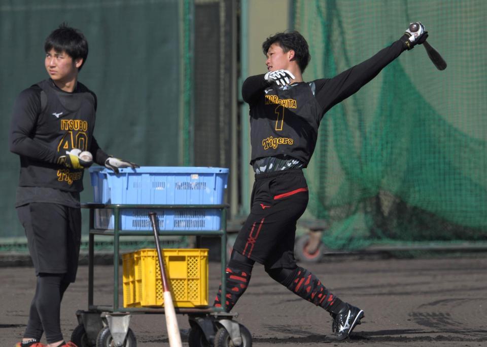 　打撃練習する森下（撮影・北村雅宏）