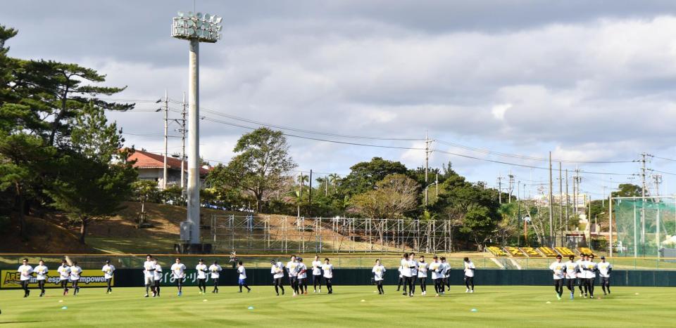 　アップをする先乗り組の阪神ナイン（撮影・中田匡峻）