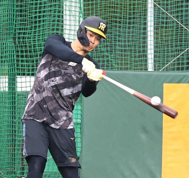 阪神・佐藤輝 驚愕のバックスクリーン直撃弾 4スイングに1発！圧巻の