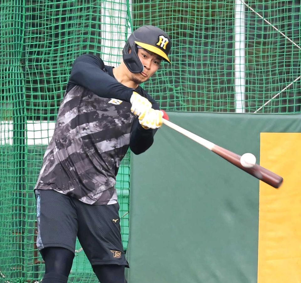 　フリー打撃で快音を響かせる佐藤輝（撮影・高部洋祐）