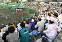　大勢のファンが詰めかけた宜野座村野球場（撮影・高部洋祐）
