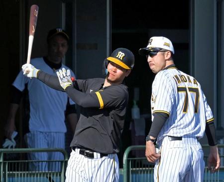 　今岡コーチ（右）とロングティーで打ち込む佐藤輝（撮影・立川洋一郎）