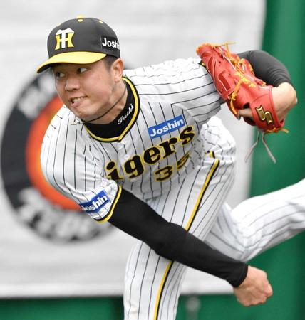 　ブルペンで力投する才木（撮影・中田匡峻）
