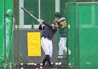 　フリー打撃で柵越えを連発する佐藤輝（撮影・立川洋一郎）