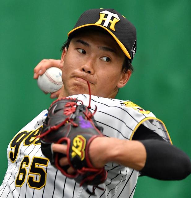 阪神タイガース 2023 ボブルヘッド湯浅選手 Amazon | 阪神タイガース ボブルヘッドフィギュア 湯浅選手