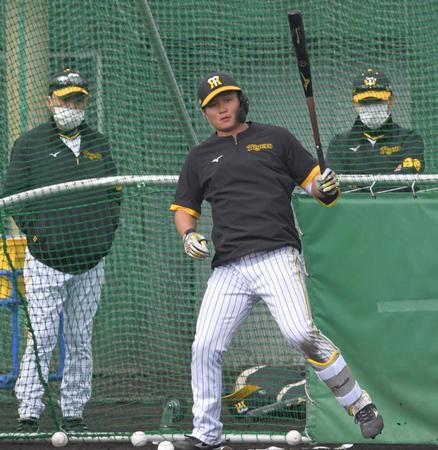 　岡田監督（左奥）、和田２軍監督（右奥）が見る中、打撃練習する森下（撮影・北村雅宏）