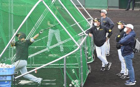 　森下（左端）の打撃練習を見守る岡田監督（右から４人目）＝撮影・高部洋祐