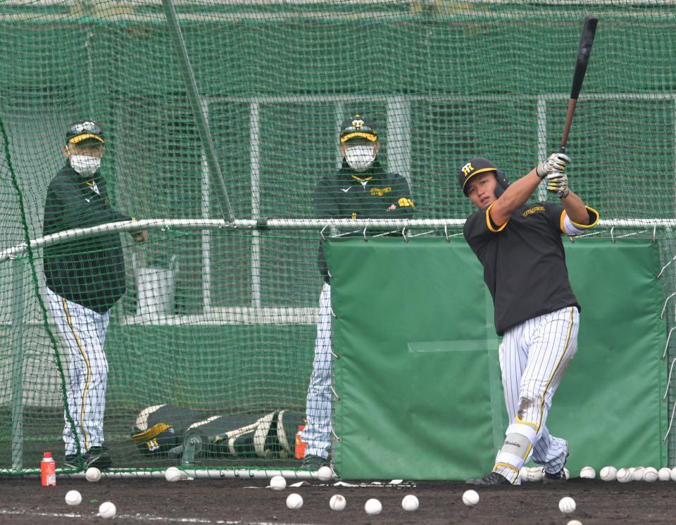 岡田監督（左奥）、和田２軍監督（中奥）の見る中、打撃練習する森下（撮影・北村雅宏）