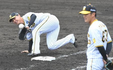 　投内連係の練習で二塁手・植田の送球を取り損ね苦笑いの浜地（撮影・高部洋祐）