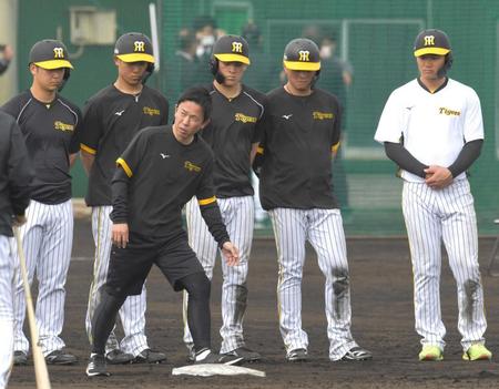 　赤星臨時コーチのアドバイスに耳を傾ける（左から）井坪、戸井、高寺、北條、森下（撮影・北村雅宏）