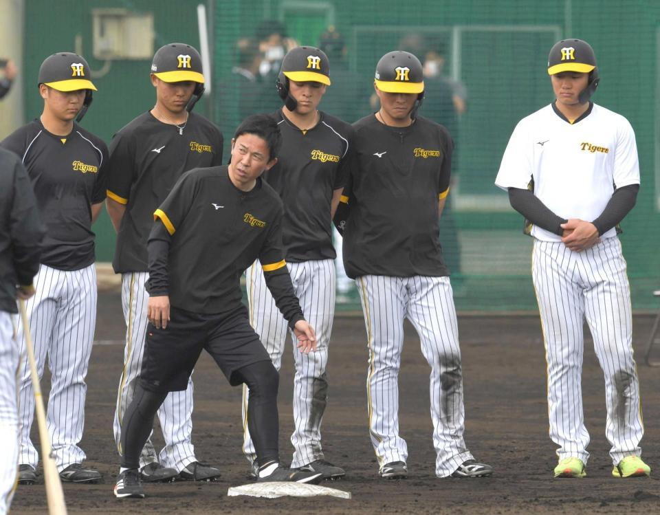 　赤星臨時コーチのアドバイスに耳を傾ける（左から）井坪、戸井、高寺、北條、森下（撮影・北村雅宏）