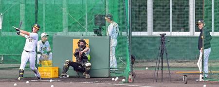 　岡田監督（右）が見守る中、特打をする板山（撮影・立川洋一郎）