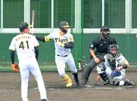 　シート打撃で左翼線へ二塁打を放つ佐藤輝（撮影・立川洋一郎）