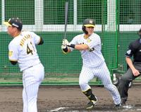 　シート打撃で左前へ安打を放つ板山。左は村上＝撮影・立川洋一郎