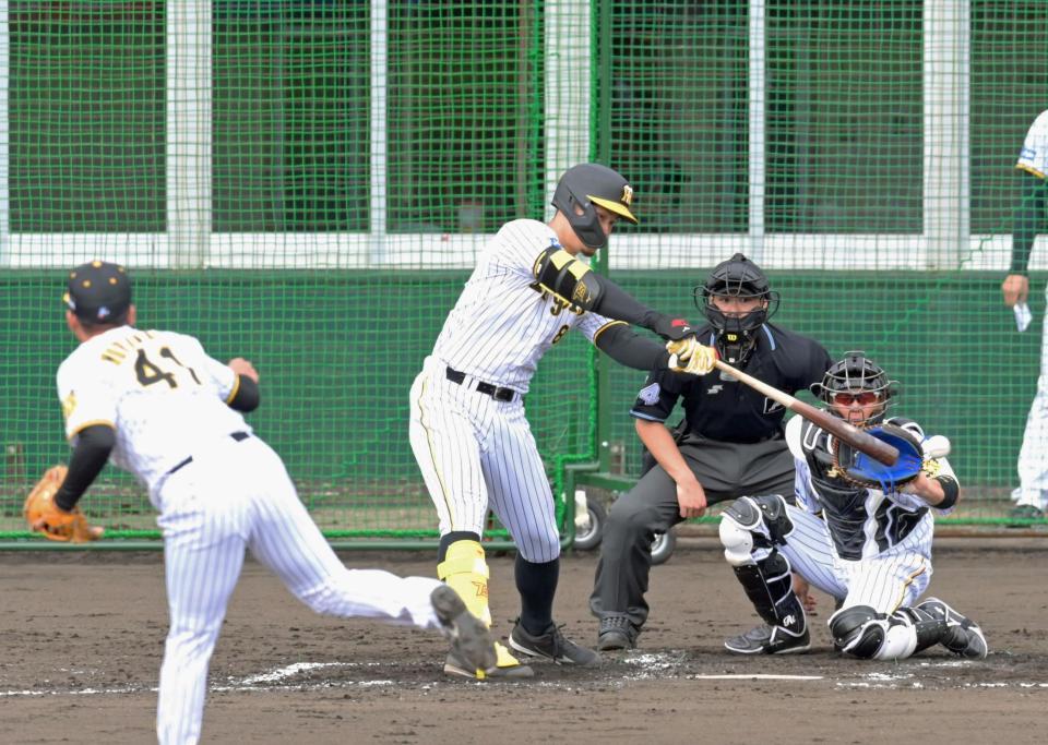 　シート打撃で左翼線へ二塁打を放つ佐藤輝（撮影・立川洋一郎）