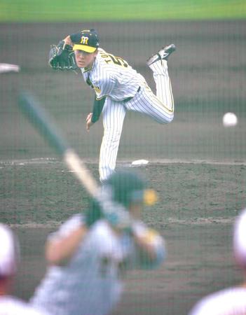 　シート打撃で初めてプロの打者と対戦した富田