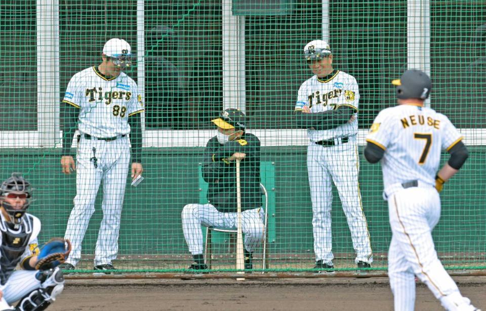 　ノイジー（右端）が本塁打を放ち、安藤コーチ（左）に話しかける岡田監督。右隣は平田ヘッド（撮影・立川洋一郎）