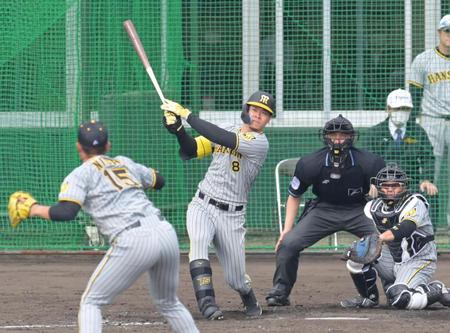 　シート打撃で西純（左）から本塁打を放つ佐藤輝（撮影・立川洋一郎）