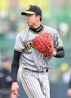 　シート打撃で登板した才木（撮影・中田匡峻）