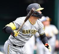 　シート打撃で中越えに本塁打を放った佐藤輝（撮影・中田匡峻）