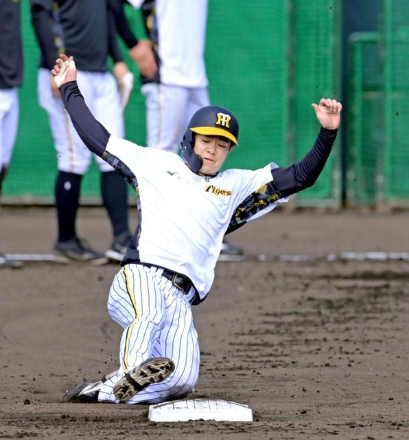 阪神・中野　ＷＢＣで三笘＆浅野になる「途中から出る人が活躍すると盛り上がる」