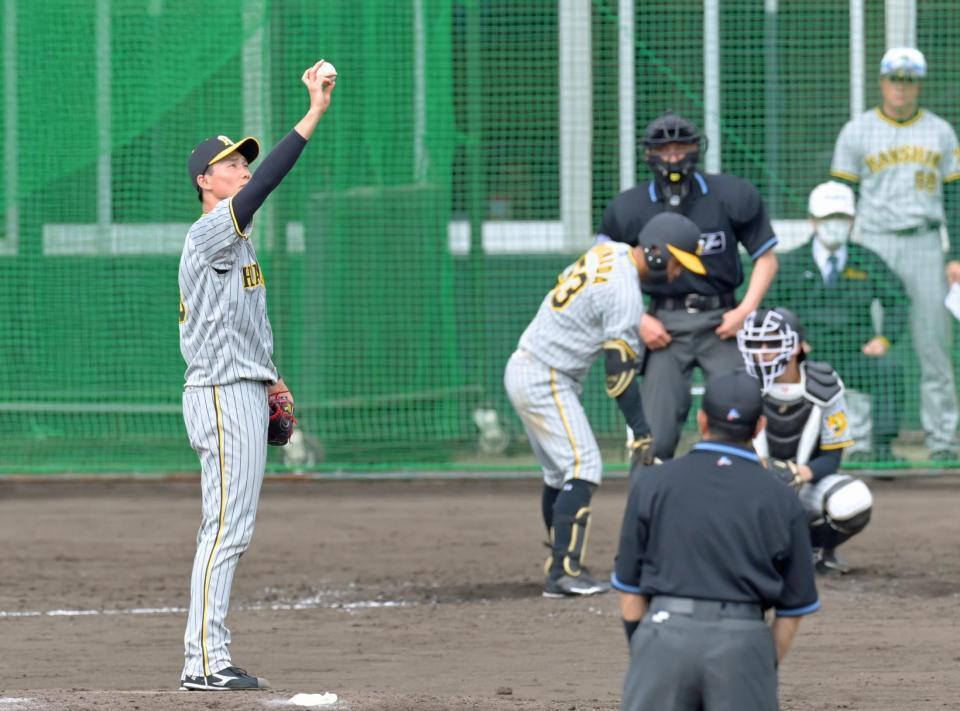 　シート打撃に登板し、投球前にボールに目をやる湯浅（撮影・立川洋一郎）