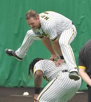 　ミエセス（下）を土台に馬跳びするノイジー（撮影・高部洋祐）