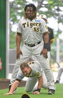 　トレーニングするミエセス（上）とノイジー（撮影・中田匡峻）