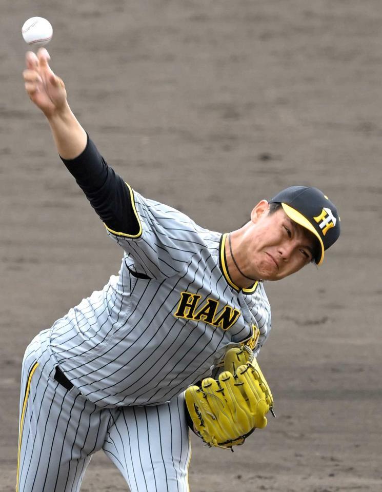 　初のシート打撃登板で力投する西純（撮影・高部洋祐）