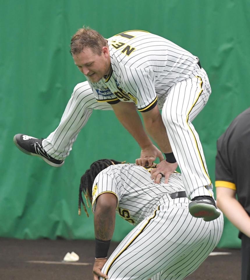 　ミエセス（下）を土台に馬跳びするノイジー（撮影・高部洋祐）