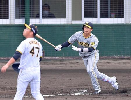 　２回、先制２ランを放つ木浪。投手は桐敷（撮影・立川洋一郎）