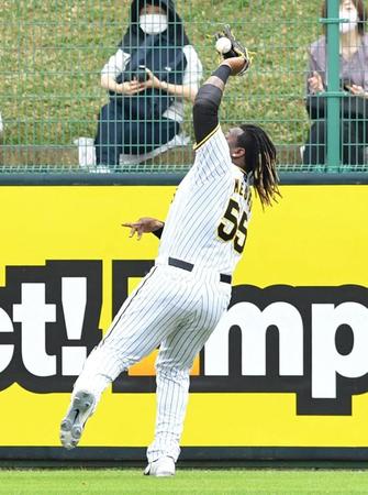 　落球するミエセス（撮影・中田匡峻）