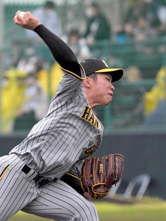 紅白戦で力投する阪神・石井大智＝宜野座村野球場（撮影・北村雅宏）