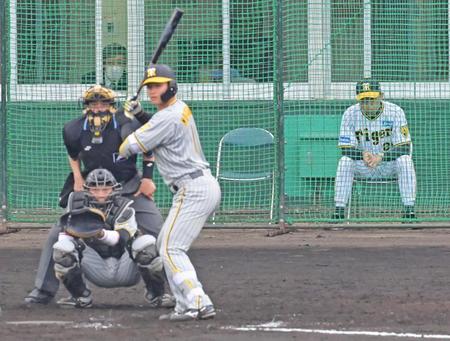 　３回、打席に立つ森下を見つめる岡田監督（右）＝撮影・立川洋一郎