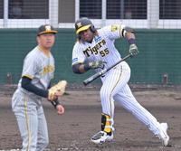 　６回、適時打を放つミエセス。投手・渡辺雄（撮影・立川洋一郎）