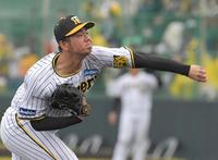 　紅白戦で力投する川原（撮影・北村雅宏）