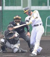 　４回、左前へ適時打を放つ北條（撮影・立川洋一郎）