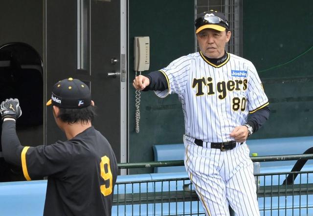 阪神　１１日の紅白戦メンバー一覧　岡田監督、結果踏まえて「（１２日は）本当の紅白」