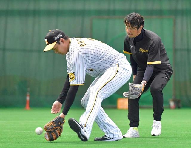 阪神・大山“脱力のススメ”　鳥谷臨時Ｃから鉄人極意授かった！居残り塾で送球補習