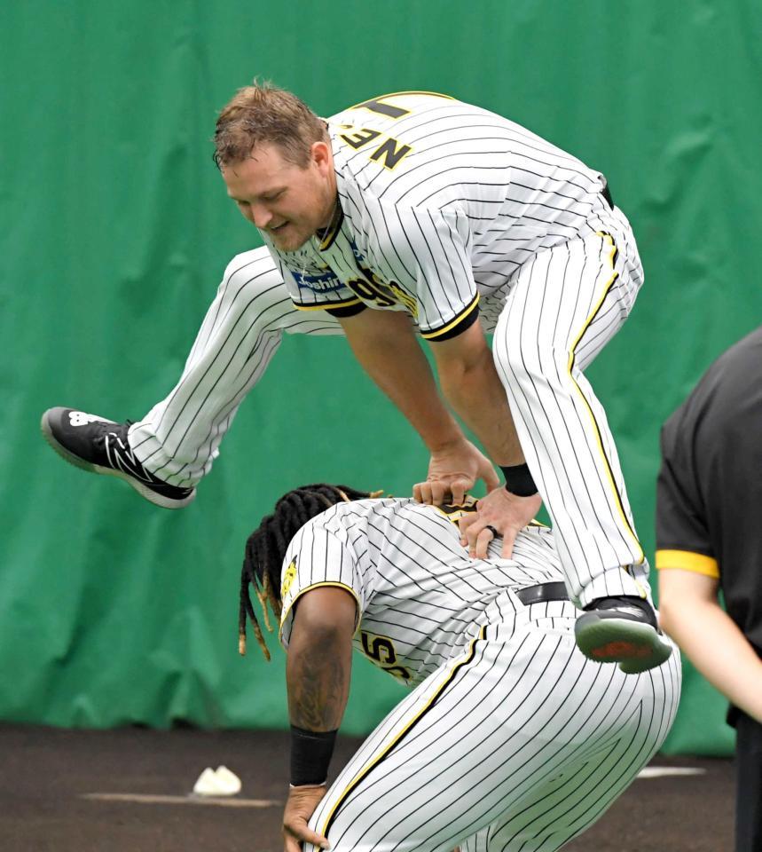 　ミエセス（下）を土台に馬跳びするノイジー（撮影・高部洋祐）