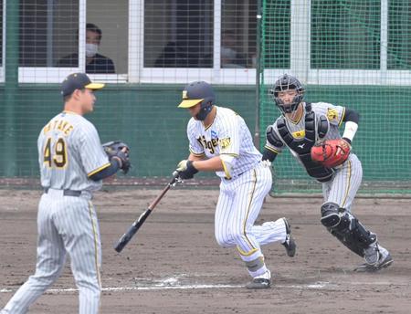 　６回、投ゴロに打ち取られる代打・森下。左は大竹（撮影・立川洋一郎）