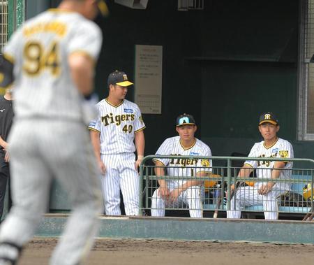 　２回、同点ソロを放った原口（９４）を見る森下（中央）＝撮影・北村雅宏