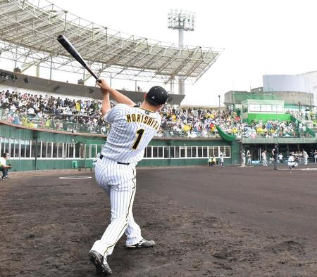 　ベンチ前で素振りをする森下（撮影・中田匡峻）