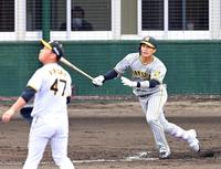 　桐敷から先制２ランを放つ木浪