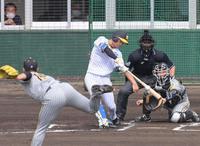 　１回、右前打を放つ近本（撮影・立川洋一郎）