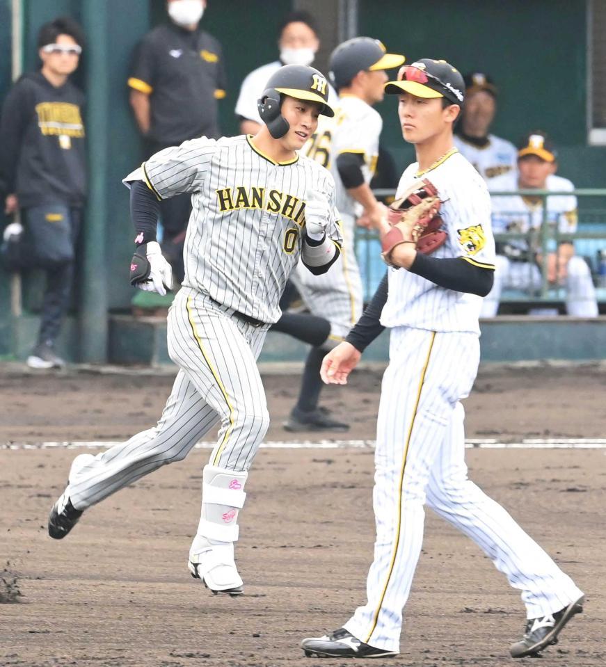 オンライン直接配達 値下げ可能阪神タイガース 木浪聖也 2019年ウル虎